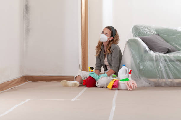 Reliable Black Mold Removal contractor in Lebanon, TN by WQB Mold Removal